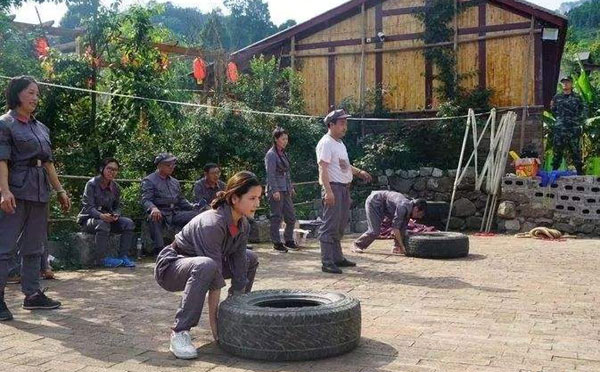 “精英团队”户外拓展训练感想