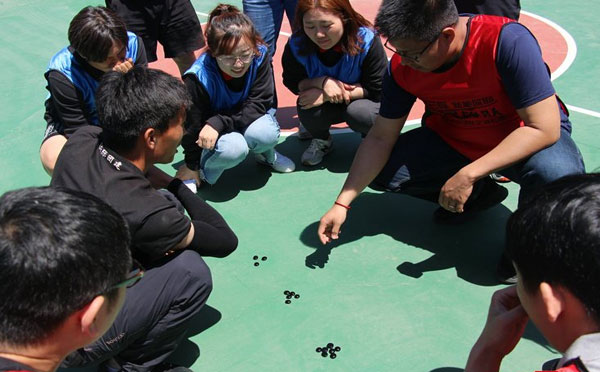 拓展训练感悟总结五篇