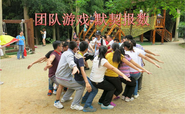 培养团队默契度的团队游戏 默契报数