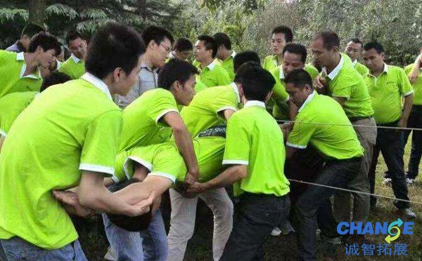 为什么拓展培训这么火