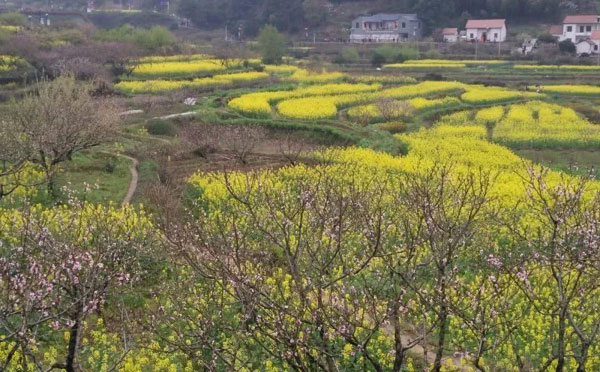 沼山乡村公园