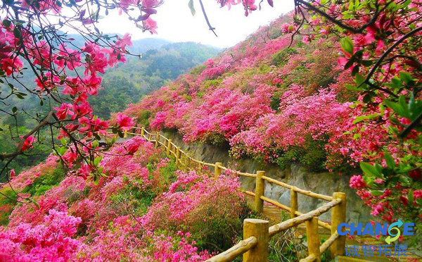 木兰云雾山