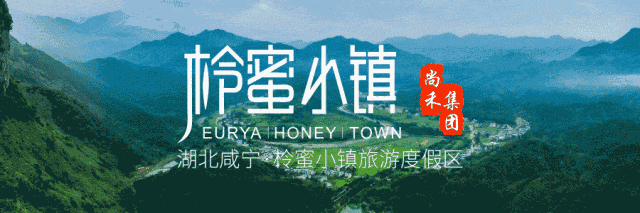 柃蜜小镇白崖山景区拓展基地