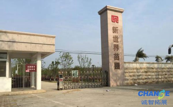 郑店新世界苗圃
