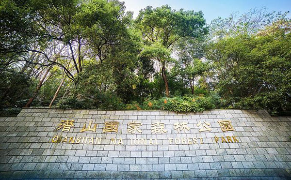 潜山国家森林公园