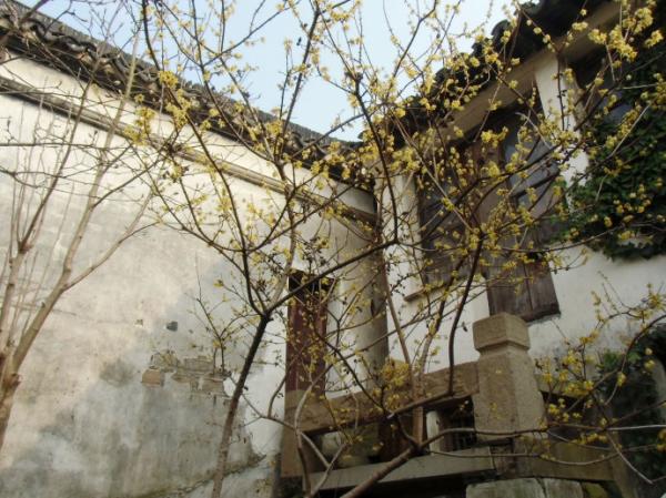 公司团建去苏洲陆巷古村游玩介绍(图2)