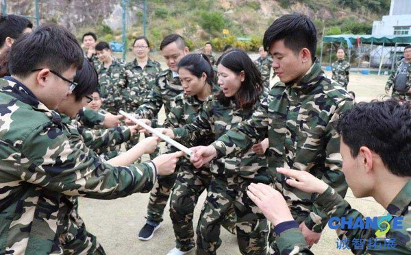 党员学习教育素质拓展训练总结