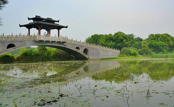 武汉东湖秋游计划书