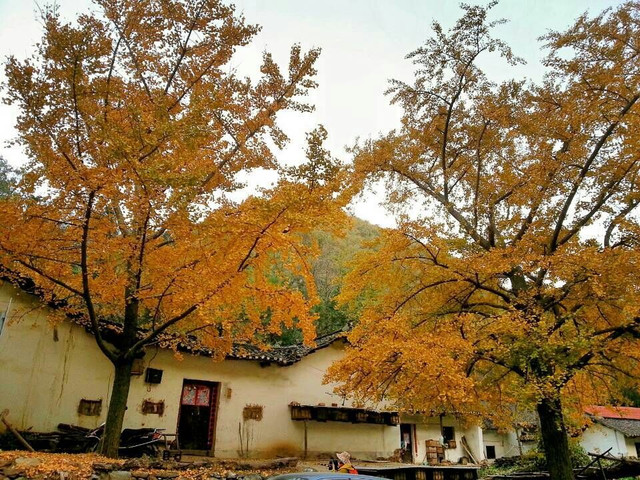 钱冲银杏谷拓展基地
