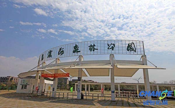 上海滨海森林公园拓展基地
