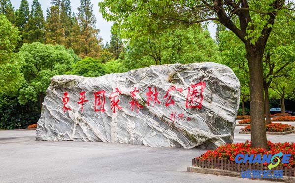 东平森林公园拓展基地