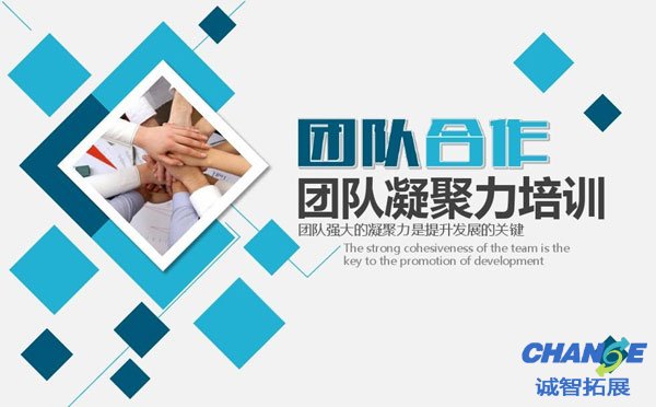 拓展心得：团队凝聚力的重要性