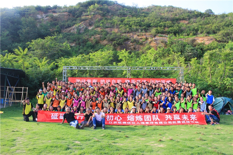 公司团队的拓展心得体会