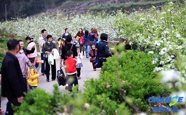 踏青可以玩什么游戏