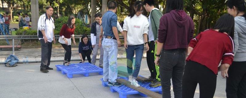 孤岛求生游戏规则