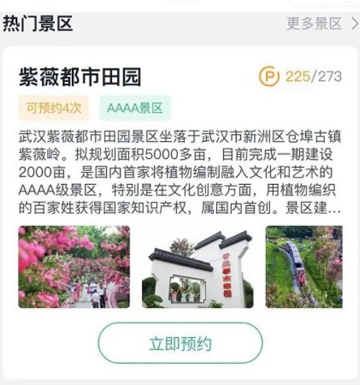 新洲人免费游预约景点流程