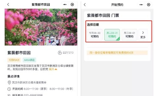 新洲人免费游预约景点流程