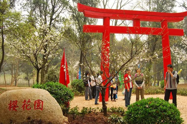 东湖磨山樱园旅游攻略 武汉东湖磨山樱园地址