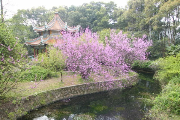 武汉植物园旅游攻略 中国科学院武汉植物园地址