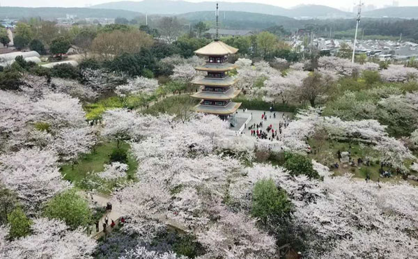武汉爬山的景点推荐