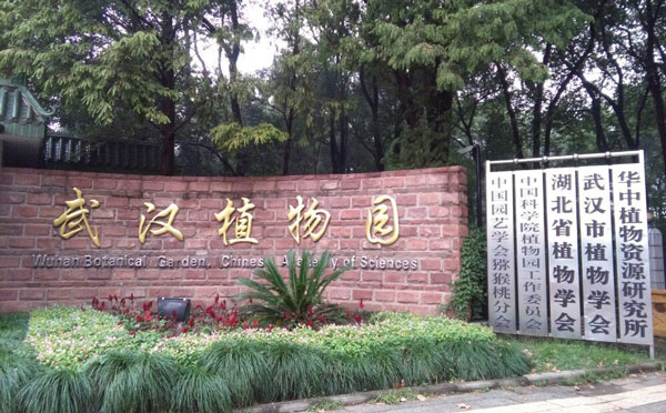 武汉植物景色最好的地方