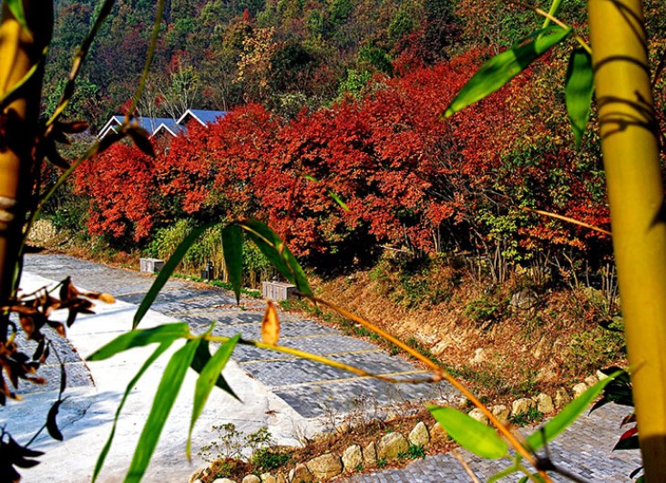 姚家山旅游风景区好玩吗