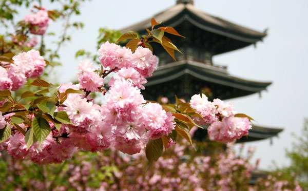 中国旅游日武汉免费景点汇总
