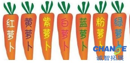 萝卜蹲游戏