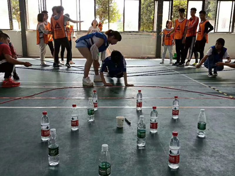 拓展培训收获不一样的体验