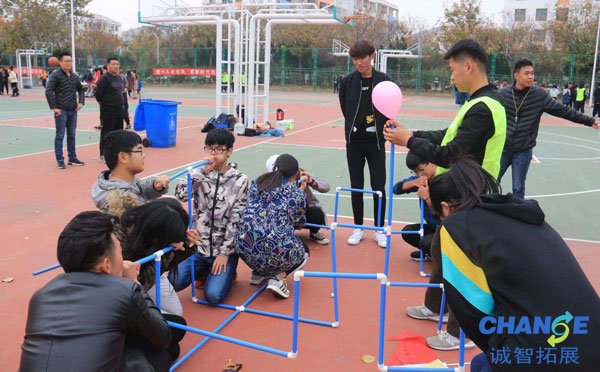 大学素质拓展心得体会800字