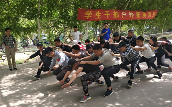 拓展训练后的感想400字