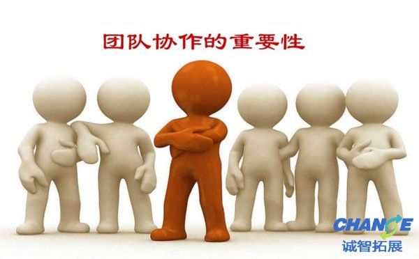 团队合作的重要性