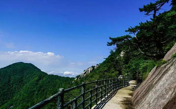 吴家山森林公园