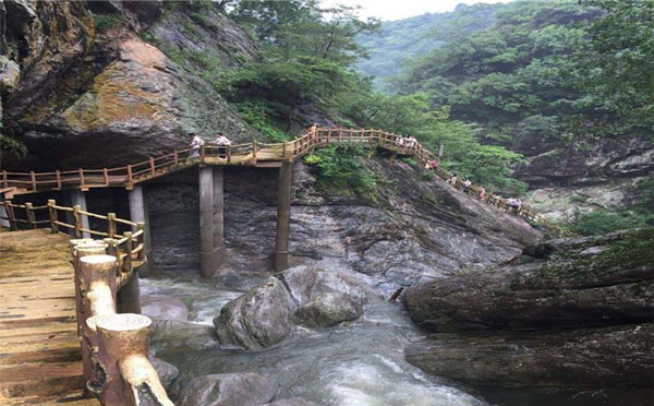 吴家山森林公园