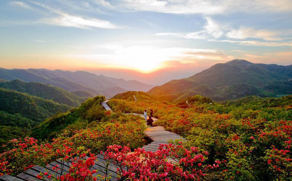 桃花冲森林公园