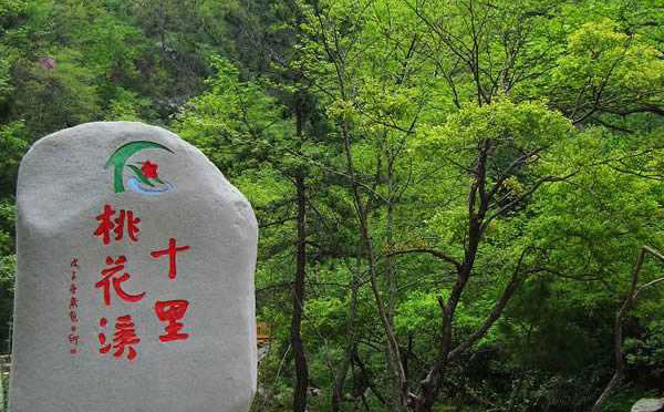 桃花冲森林公园