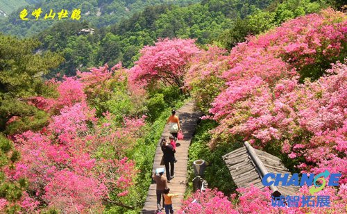 湖北麻城龟峰山风景区