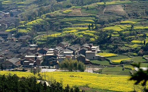 阳新七峰山风景区拓展基地