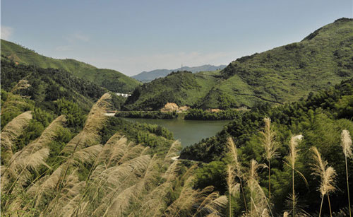 黄石大冶龙凤山生态园度假村拓展基地