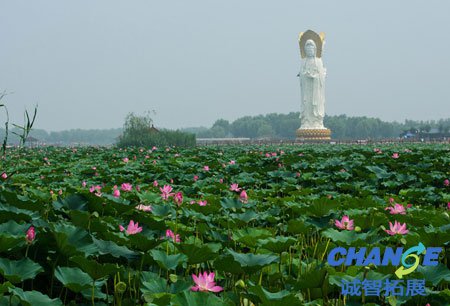 孝感市观音湖拓展基地