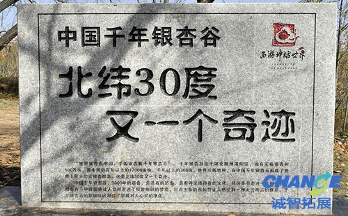 随州千年银杏谷拓展基地