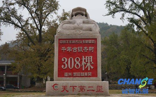随州千年银杏谷拓展基地