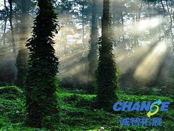 白鹿春养生科普生态园拓展基地