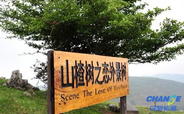 宜昌百里荒草原风景区拓展基地