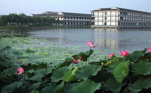 荆州洪湖蓝田生态园拓展基地
