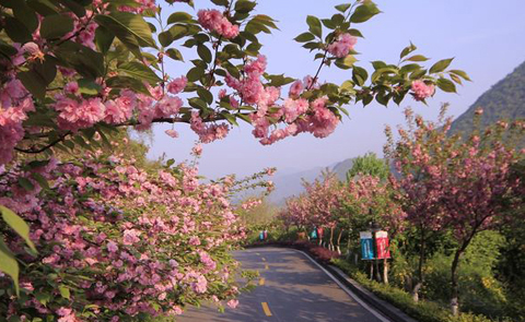 十堰黄龙滩旅游度假区拓展基地