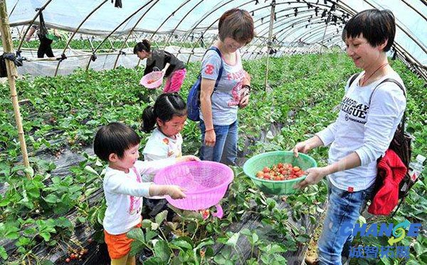 亲子拓展活动意义 亲子拓展游戏项目及场地推荐