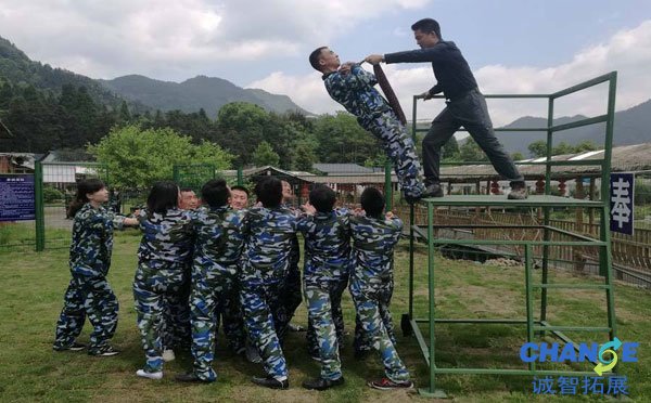 信任背摔拓展训练项目心得体会