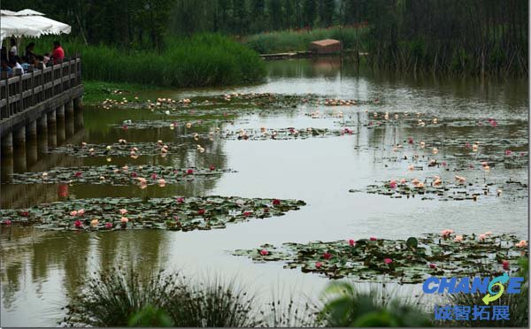 白鹭湾湿地公园建议