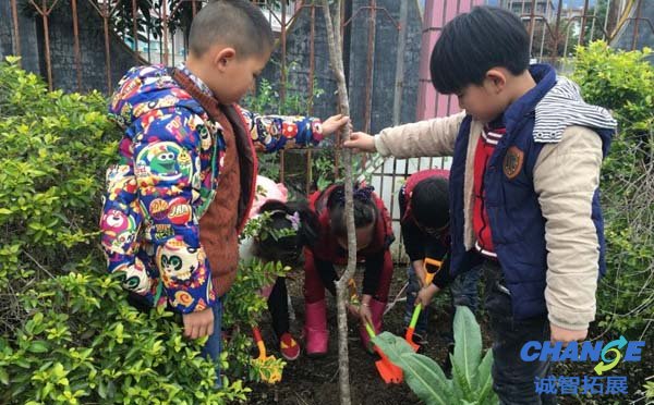 植树节创意活动方案